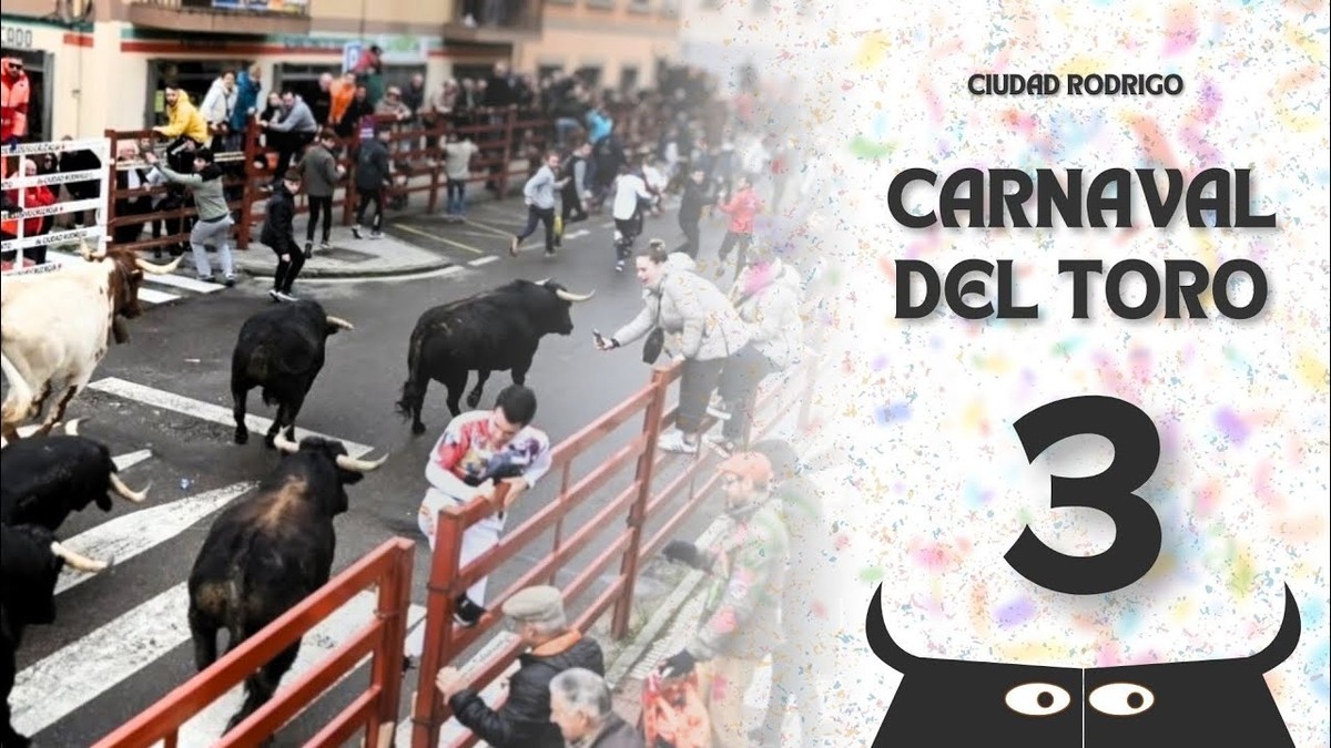 Carnaval del Toro 2026: Guía Completa